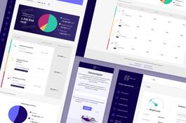 Online financial product UX/UI design